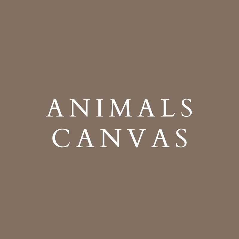 Animals Canvas Collection