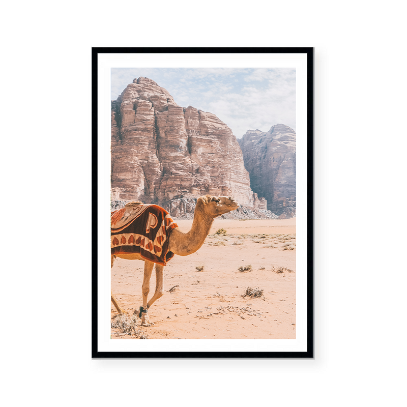 Camel In Wadi Rum II | Art Print