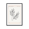 Botanic Outline II | Art Print