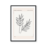 Botanic Outline II | Art Print