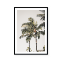 Quiet Palms | Art Print
