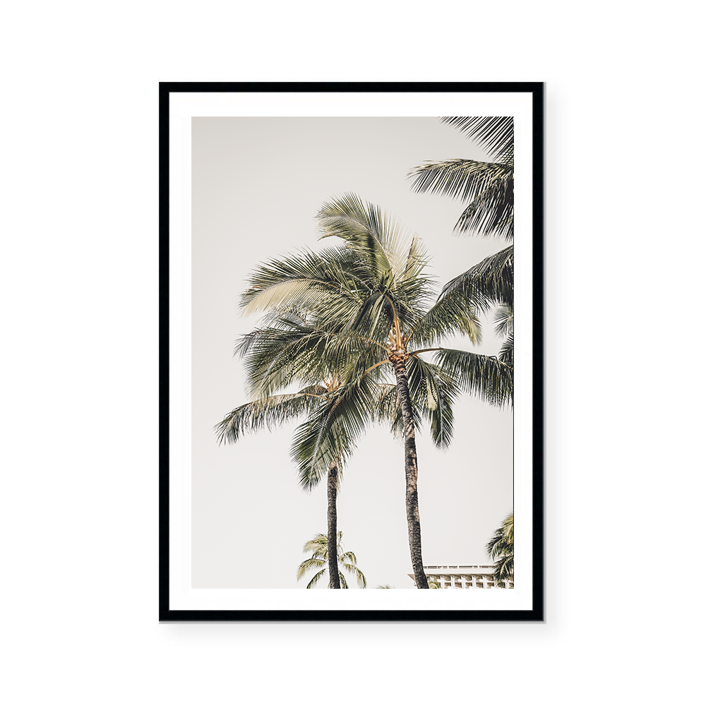 Quiet Palms | Art Print