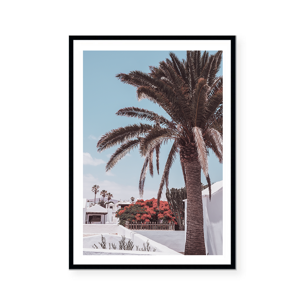 Modern Latitute | Art Print