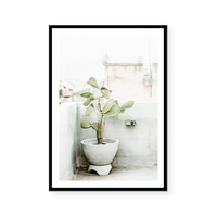 Cactus In Greece | Art Print