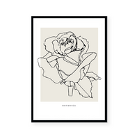 Botanic Outline III | Art Print
