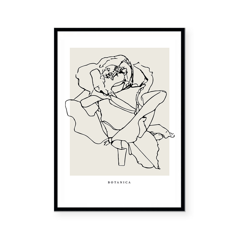 Botanic Outline III | Art Print