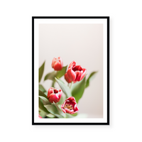 Tulips In Red I | Art Print