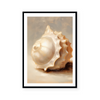 Painted Seashells I | Art Print