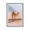 Camel In Wadi Rum I | Art Print