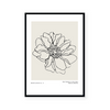 Botanic Outline I | Art Print
