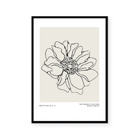Botanic Outline I | Art Print