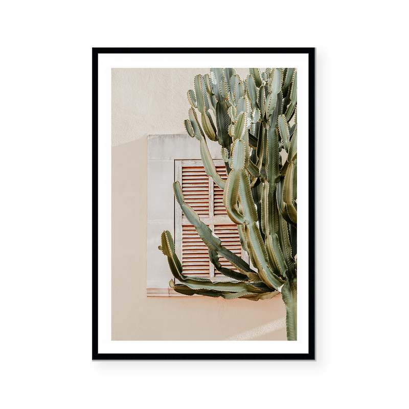 Cactus Shadows | Art Print