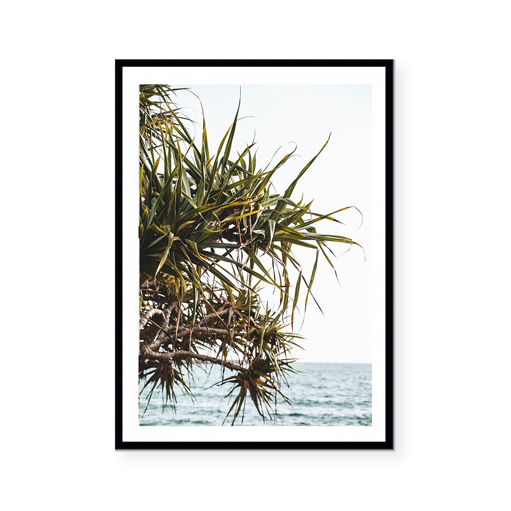 Yamba Beach, New South Wales | Art Print
