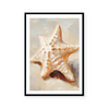 Painted Seashells II | Art Print