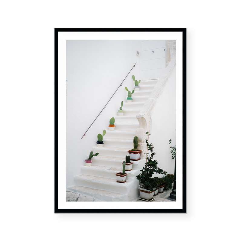 Stairway With Cactus Plants | Art Print