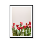 Tulips In Red II | Art Print