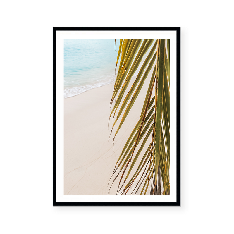 Palm Leaf By The Beach | Art Print