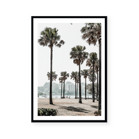 Palm Grove | Art Print