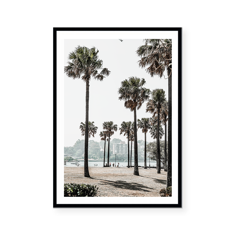 Palm Grove | Art Print