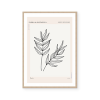 Botanic Outline II | Art Print