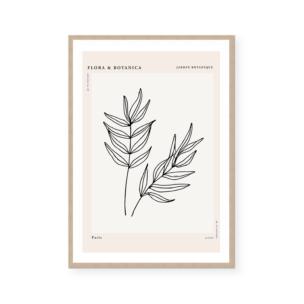 Botanic Outline II | Art Print