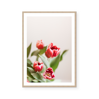 Tulips In Red I | Art Print