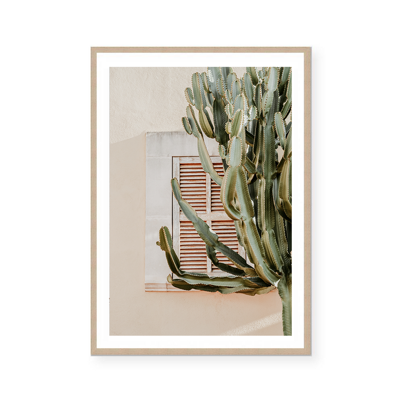 Cactus Shadows | Art Print