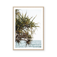 Yamba Beach, New South Wales | Art Print