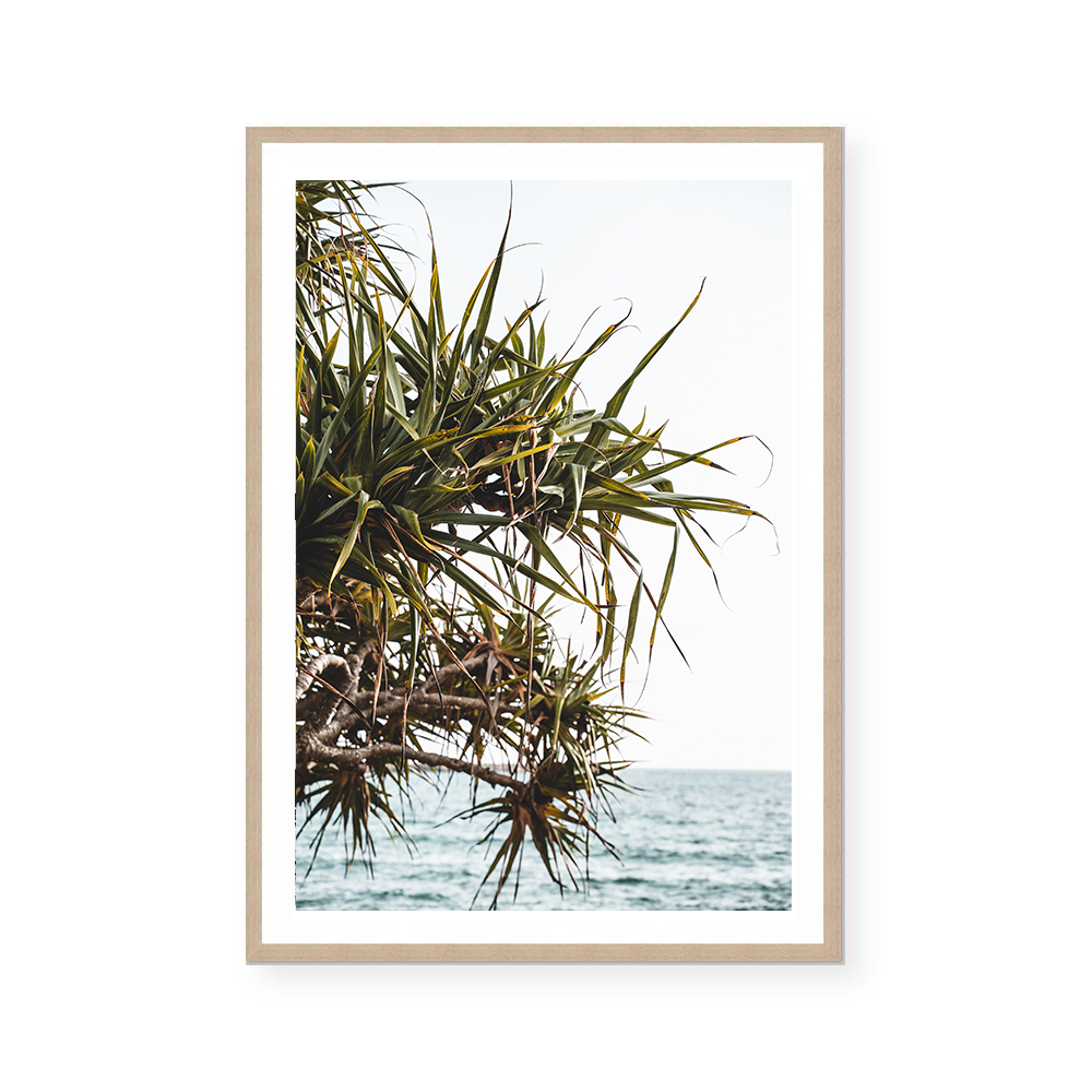 Yamba Beach, New South Wales | Art Print