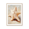 Painted Seashells II | Art Print
