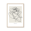 Botanic Outline III | Art Print