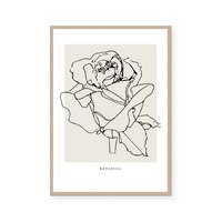 Botanic Outline III | Art Print