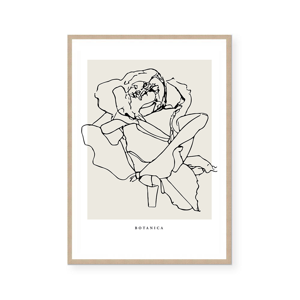 Botanic Outline III | Art Print