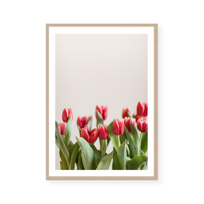 Tulips In Red II | Art Print