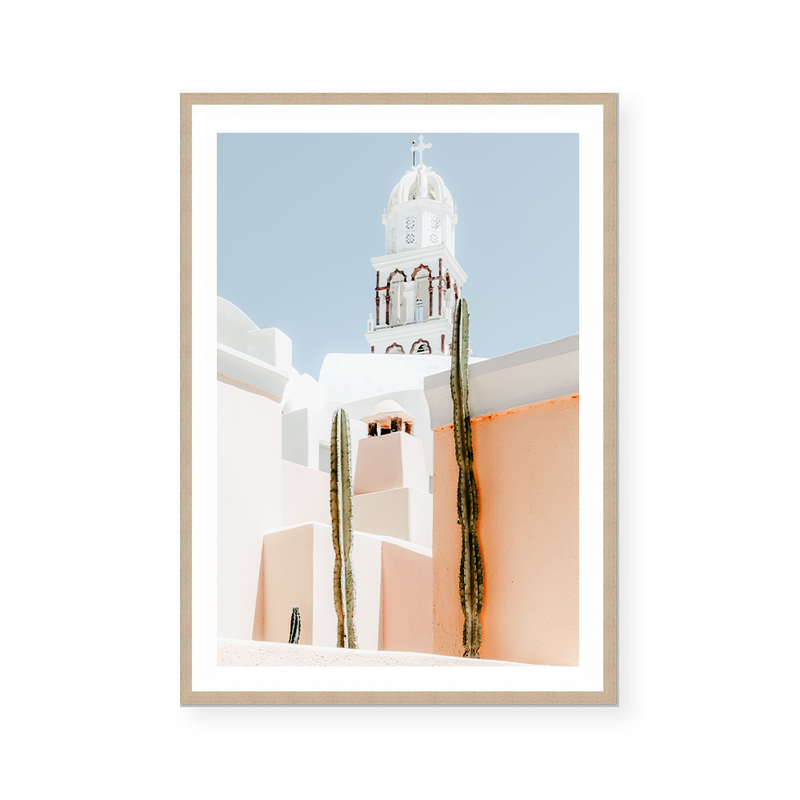 Santorini Cactus | Art Print