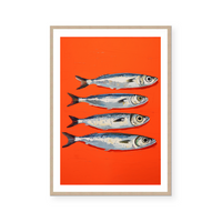 Sardines II | Art Print