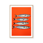 Sardines II | Art Print