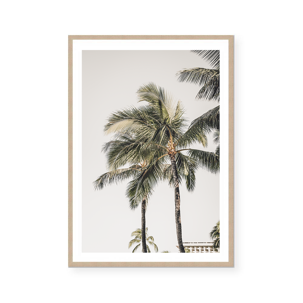 Quiet Palms | Art Print