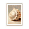 Painted Seashells I | Art Print