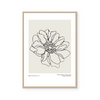 Botanic Outline I | Art Print