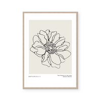 Botanic Outline I | Art Print