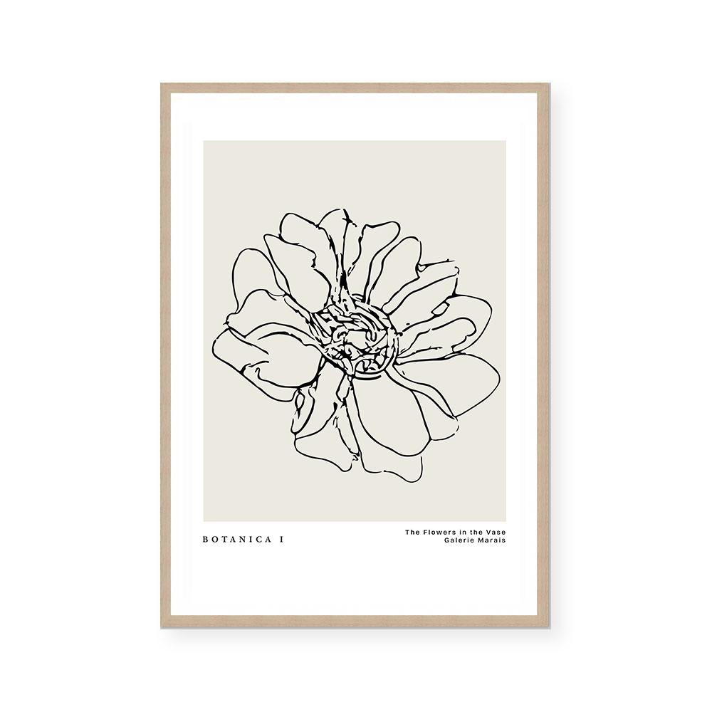 Botanic Outline I | Art Print