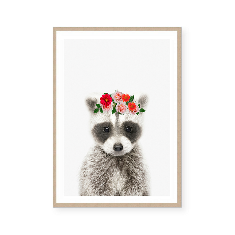 Baby Raccoon | Art Print