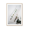 Stairway With Cactus Plants | Art Print