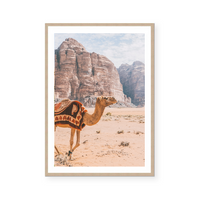 Camel In Wadi Rum II | Art Print