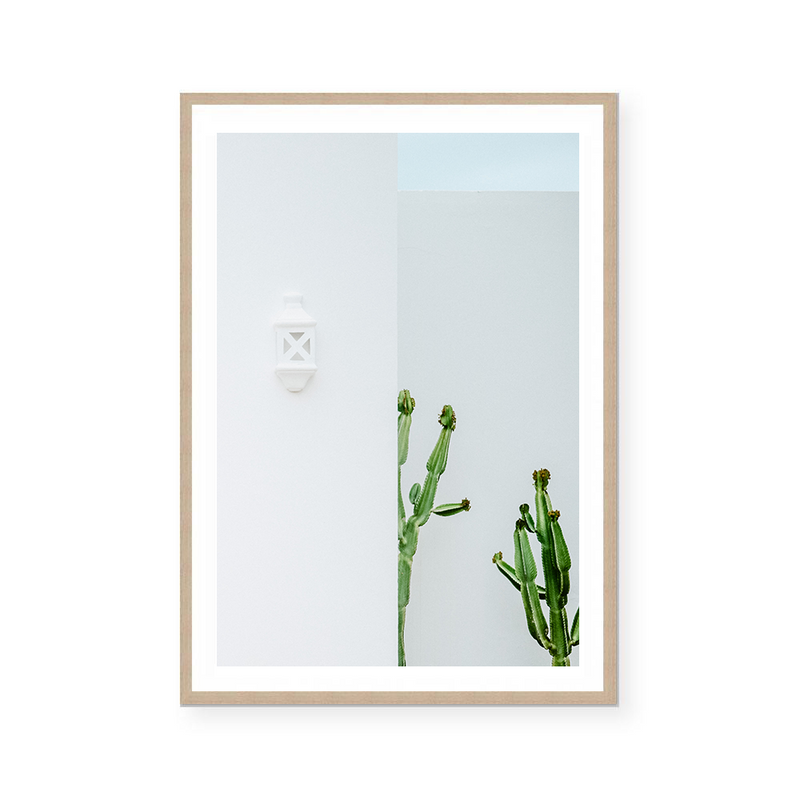 Cactus Mediterranean Villa | Art Print