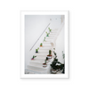 Stairway With Cactus Plants | Art Print