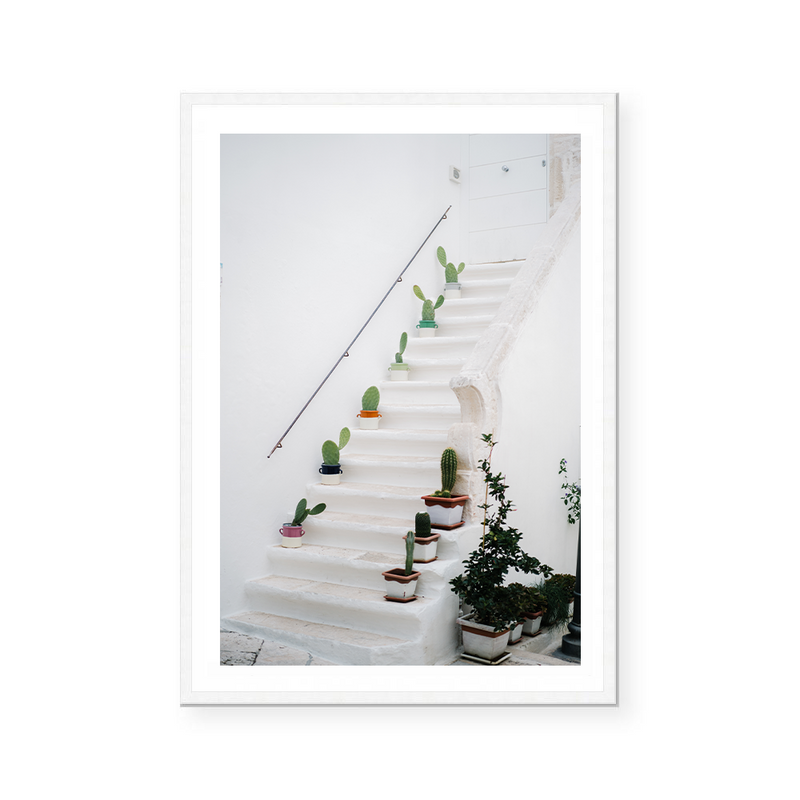 Stairway With Cactus Plants | Art Print