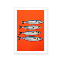 Sardines II | Art Print