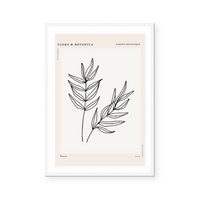 Botanic Outline II | Art Print